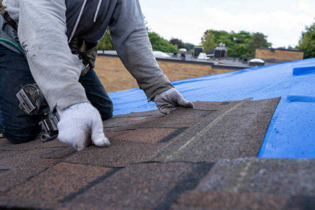 Fast & Reliable Emergency Roof Repairs in St Louis, MO
