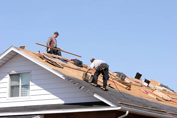 Best Cold Roofs  in St Louis, MO